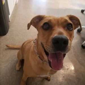 Meet your Posher, Ashly